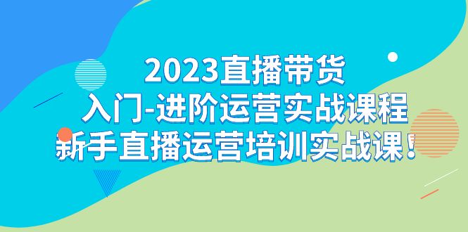 2023直播带货入门-进阶运营实战课程：新手直播运营培训实战课！-小哥找项目网创