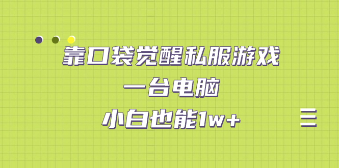 靠口袋觉醒私服游戏，一台电脑，小白也能1w+（教程+工具+资料）-小哥找项目网创