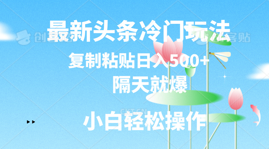 最新头条冷门玩法，隔天就爆，复制粘贴日入500+-小哥找项目网创