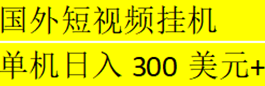 海外暴力短视频挂机全自动撸美金 单机日入300美元+【脚本免费+一对一指导】-小哥找项目网创