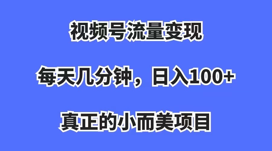 视频号流量变现，每天几分钟，收入100+，真正的小而美项目-小哥找项目网创