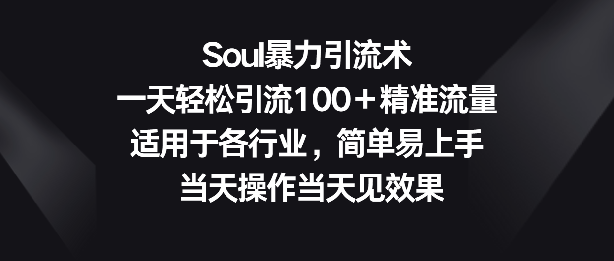 Soul暴力引流术，一天轻松引流100＋精准流量，适用于各行业，简单易上手！-小哥找项目网创