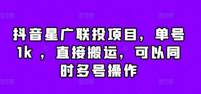 抖音星广联投项目，单号1k ，直接搬运，可以同时多号操作【揭秘】-小哥找项目网创