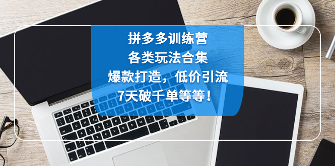 拼多多训练营：各玩法合集，爆款打造，低价引流，7天破千单等等！-小哥找项目网创