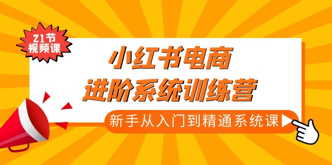 小红书电商进阶系统训练营：新手从入门到精通系统课（21节视频课）-小哥找项目网创