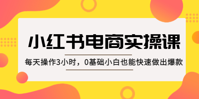 小红书·电商实操课：每天操作3小时，0基础小白也能快速做出爆款！-小哥找项目网创