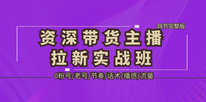 资深·带货主播拉新实战班，0粉号/老号/节奏/话术/播感/流量-38节完整版-小哥找项目网创