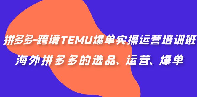 拼多多-跨境TEMU爆单实操运营培训班，海外拼多多的选品、运营、爆单-小哥找项目网创