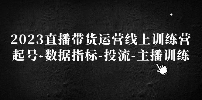 2023直播带货运营线上训练营，起号-数据指标-投流-主播训练-小哥找项目网创