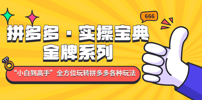 拼多多·实操宝典：金牌系列“小白到高手”带你全方位玩转拼多多各种玩法-小哥找项目网创