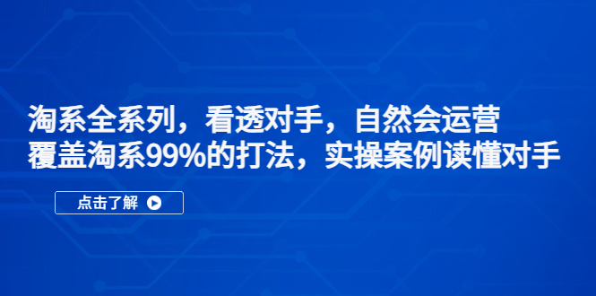 淘系全系列，看透对手，自然会运营，覆盖淘系99%·打法，实操案例读懂对手-小哥找项目网创