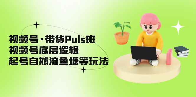 视频号·带货Puls班，视频号底层逻辑，起号自然流鱼塘等玩法-小哥找项目网创