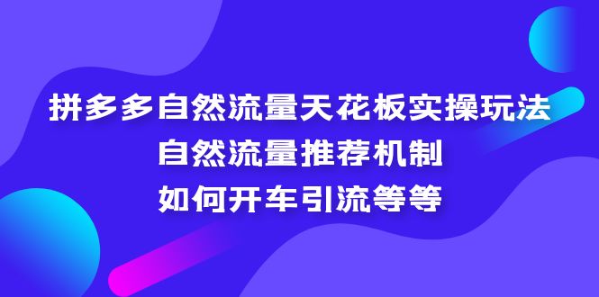 拼多多自然流量天花板实操玩法：自然流量推荐机制，如何开车引流等等-小哥找项目网创