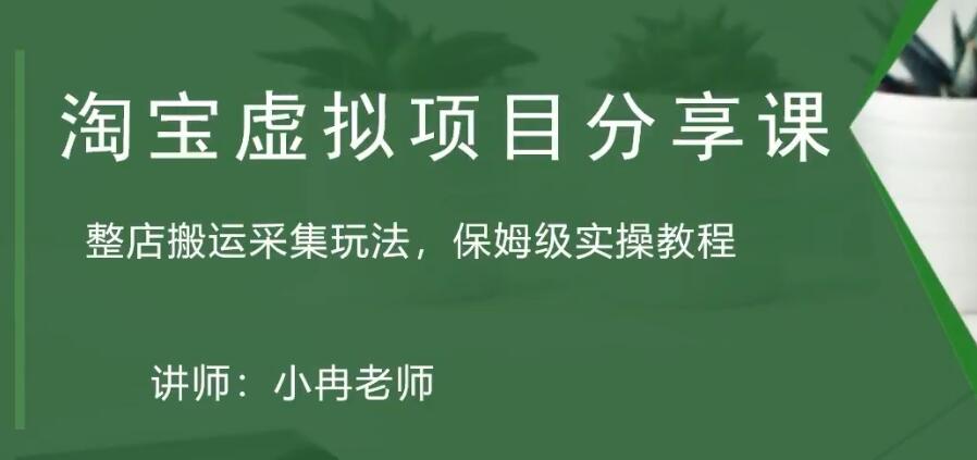 淘宝虚拟整店搬运采集玩法分享课：整店搬运采集玩法，保姆级实操教程-小哥找项目网创