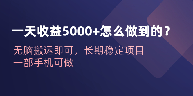 一天收益5000+怎么做到的？无脑搬运即可，长期稳定项目，一部手机可做-小哥找项目网创