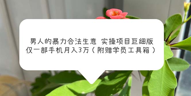 男人的暴力合法生意实操项目巨细版：仅一部手机月入3w（附赠学员工具箱）-小哥找项目网创