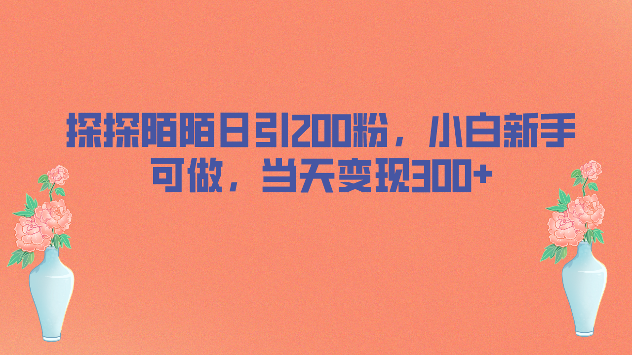 探探陌陌日引200粉，小白新手可做，当天就能变现300+-小哥找项目网创