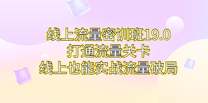 线上流量密训班19.0，打通流量关卡，线上也能实战流量破局-小哥找项目网创