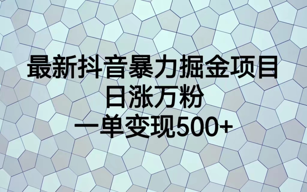 最新抖音暴力掘金项目，日涨万粉，一单变现500+-小哥找项目网创