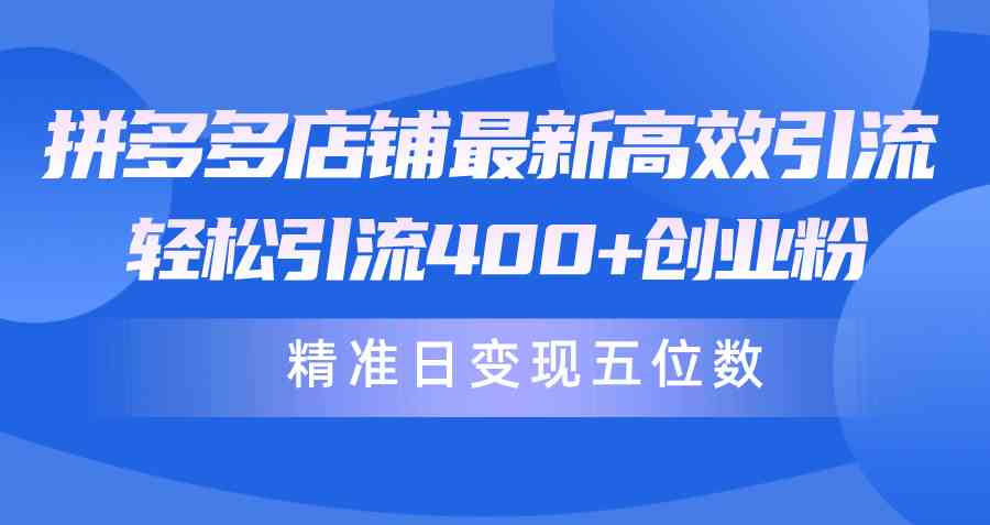 （10041期）拼多多店铺最新高效引流术，轻松引流400+创业粉，精准日变现五位数！-小哥找项目网创