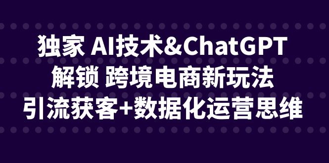 独家 AI技术&ChatGPT解锁 跨境电商新玩法，引流获客+数据化运营思维-小哥找项目网创