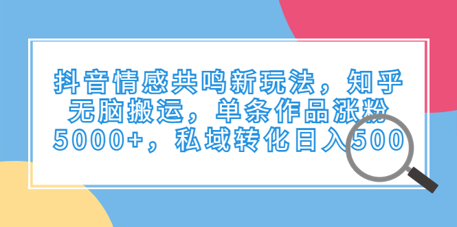 抖音情感共鸣新玩法，知乎无脑搬运，单条作品涨粉5000+，私域转化日入500-小哥找项目网创