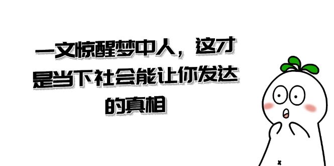 某公众号付费文章《一文 惊醒梦中人，这才是当下社会能让你发达的真相》-小哥找项目网创