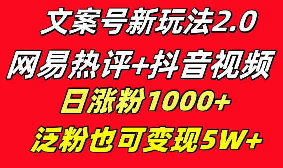 文案号新玩法 网易热评+抖音文案 一天涨粉1000+ 多种变现模式 泛粉也可变现-小哥找项目网创