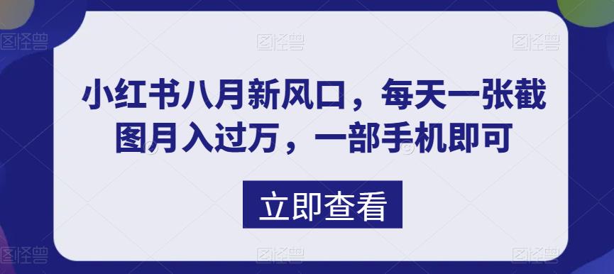 八月新风口，小红书虚拟项目一天收入1000+，实战揭秘-小哥找项目网创