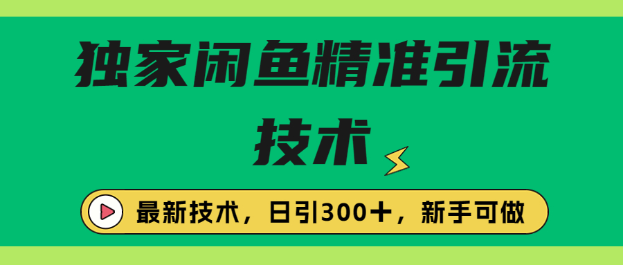 独家闲鱼引流技术，日引300＋实战玩法-小哥找项目网创