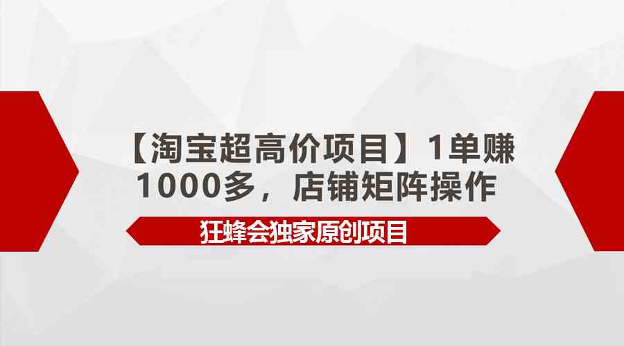 （9849期）【淘宝超高价项目】1单赚1000多，店铺矩阵操作-小哥找项目网创