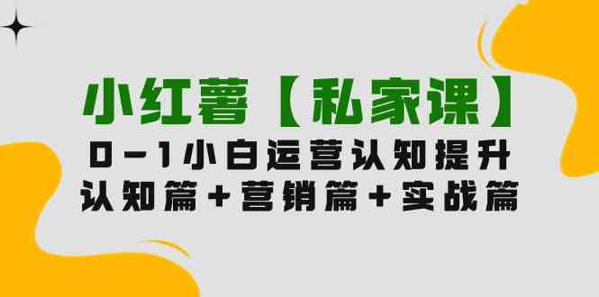 （9910期）小红薯【私家课】0-1玩赚小红书内容营销，认知篇+营销篇+实战篇（11节课）-小哥找项目网创