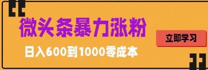 微头条暴力涨粉技巧搬运文案就能涨几万粉丝，简单0成本，日赚600-小哥找项目网创