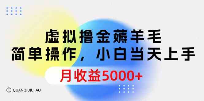 （9864期）虚拟撸金薅羊毛，简单操作，小白当天上手，月收益5000+-小哥找项目网创