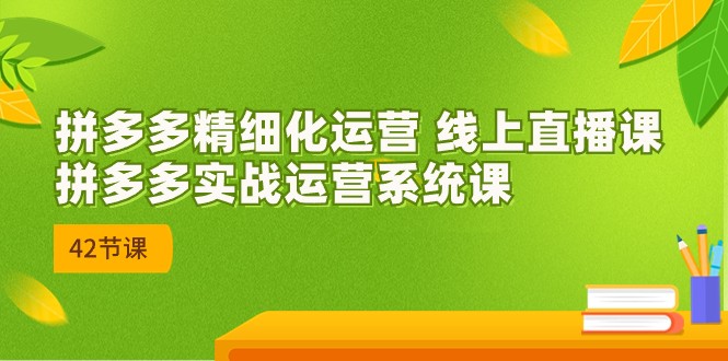 拼多多精细化运营 线上直播课：拼多多实战运营系统课（更新47节）-小哥找项目网创