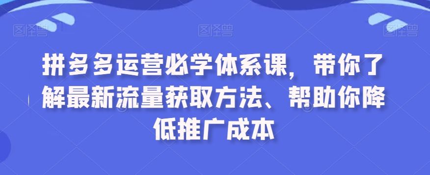 拼多多运营必学体系课，带你了解最新流量获取方法、帮助你降低推广成本-小哥找项目网创