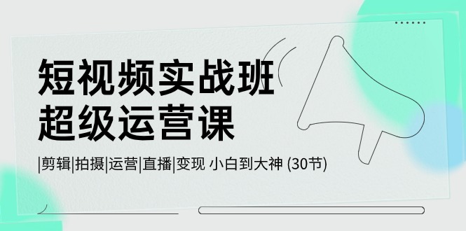 短视频实战班超级运营课 |剪辑|拍摄|运营|直播|变现 小白到大神 (30节)-小哥找项目网创