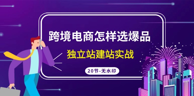 跨境电商怎样选爆品，独立站建站实战（20节高清课）-小哥找项目网创