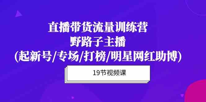 （10016期）直播带货流量特训营，野路子主播(起新号/专场/打榜/明星网红助博)19节课-小哥找项目网创