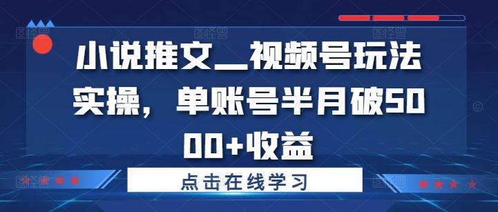 小说推文—视频号玩法实操，单账号半月破5000+收益-小哥找项目网创