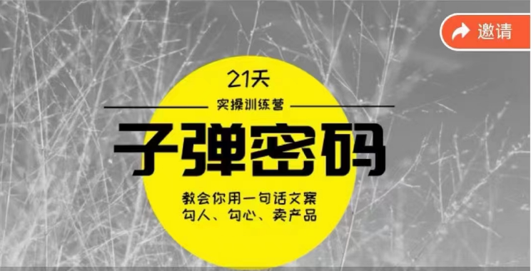 《子弹密码训练营》用一句话文案勾人勾心卖产品，21天学到顶尖文案大师策略和技巧-小哥找项目网创