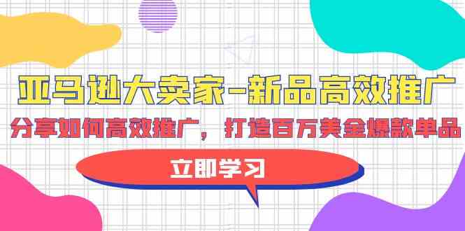 （9945期）亚马逊 大卖家-新品高效推广，分享如何高效推广，打造百万美金爆款单品-小哥找项目网创