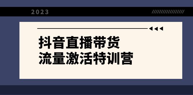 抖音直播带货-流量激活特训营，入行新手小白主播必学（21节课+资料）-小哥找项目网创