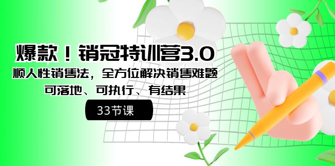 爆款！销冠特训营3.0之顺人性销售法，全方位解决销售难题、可落地-小哥找项目网创