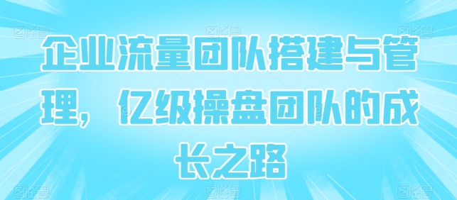 企业流量团队搭建与管理，亿级操盘团队的成长之路-小哥找项目网创