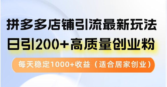 （12893期）拼多多店铺引流最新玩法，日引200+高质量创业粉，每天稳定1000+收益（…-小哥找项目网创