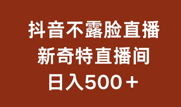 不露脸挂机直播，新奇特直播间，日入500+-小哥找项目网创