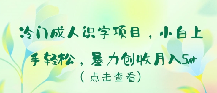 冷门成人识字项目，小白上手轻松，暴力创收月入5w+-小哥找项目网创