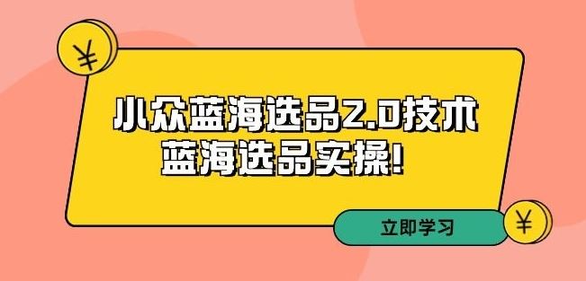 拼多多培训第33期：小众蓝海选品2.0技术-蓝海选品实操！-小哥找项目网创