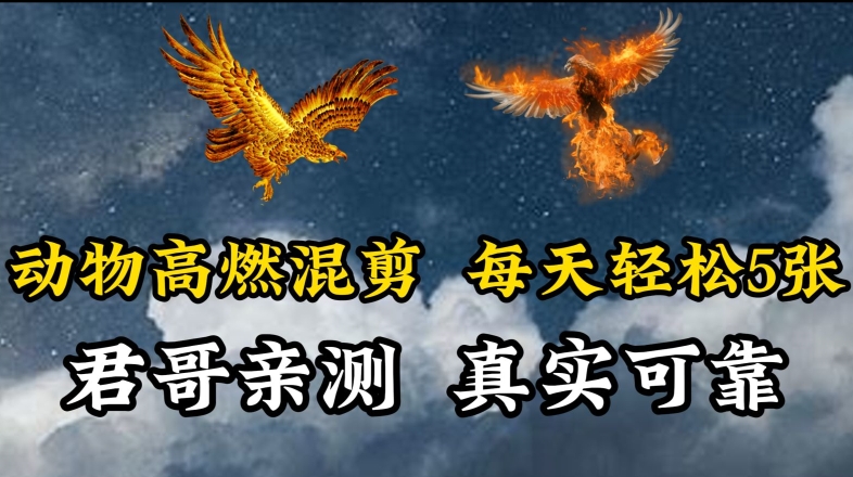 动物超燃混剪，每天轻松5张，剪辑简单大家爱看-小哥找项目网创